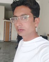 Slyfox2
