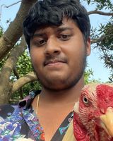 Varmad